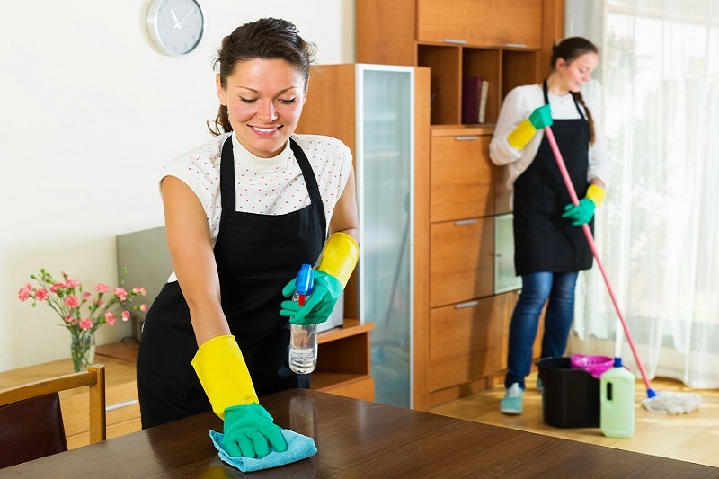 Domestic Cleaning