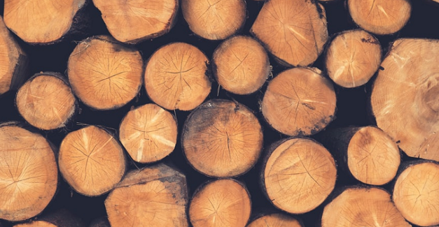 Tips On How To Buy Firewood Near You