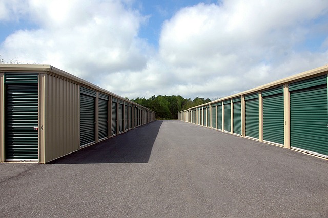 Climate-Controlled Storage Units
