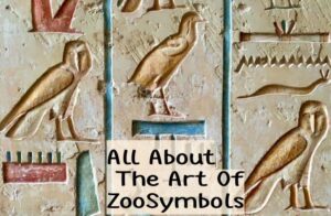 All About The Art Of Zoo Symbols
