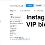 Instagram VIP bio