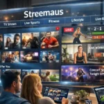 Story of Streemaus: The New Streaming Revolution
